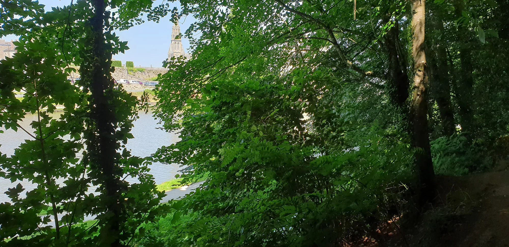 Promenade sous les arbres en bord de lac